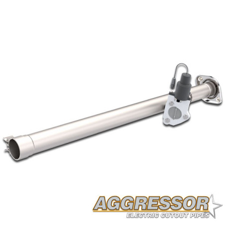 Pipe Cut-out Aggressor QTP 540015 Ford F-150 SSV 2018