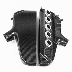 Plénum en fibre de carbone Eventuri pour BMW S85 EVE-S85-CF-PLM